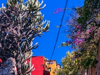 San Miguel de Allende